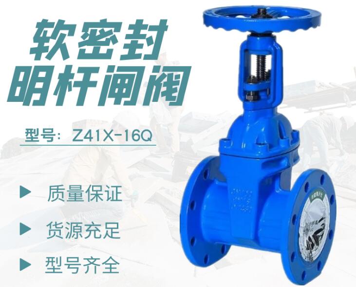 【技术速递】软密封闸阀和硬密封闸阀的区别是什么,图片能看出来吗