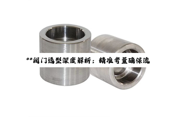 **阀门选型深度解析:精准考量确保流体系统安全高效运行**
